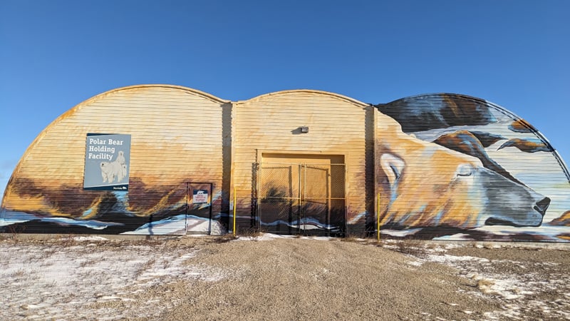 Bear_Jail