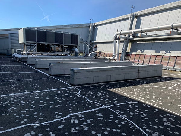 Hidden rooftop of the Personal Courage Wing