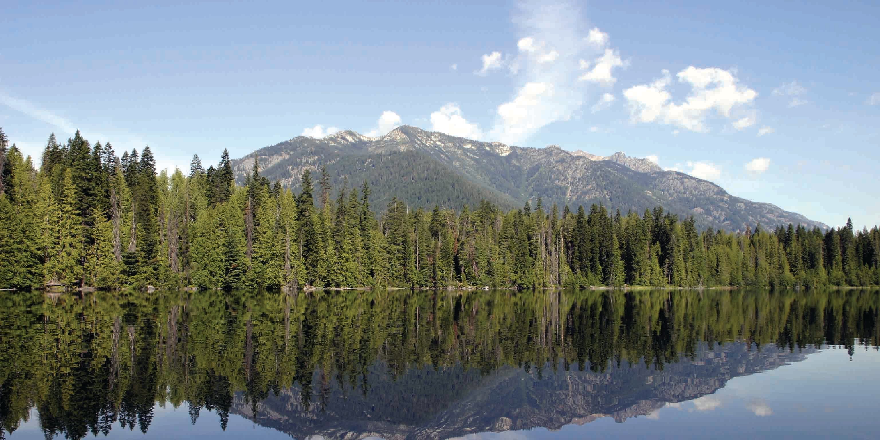 Evergreens and mountains are reflected in the serene waters of Domke Lake.