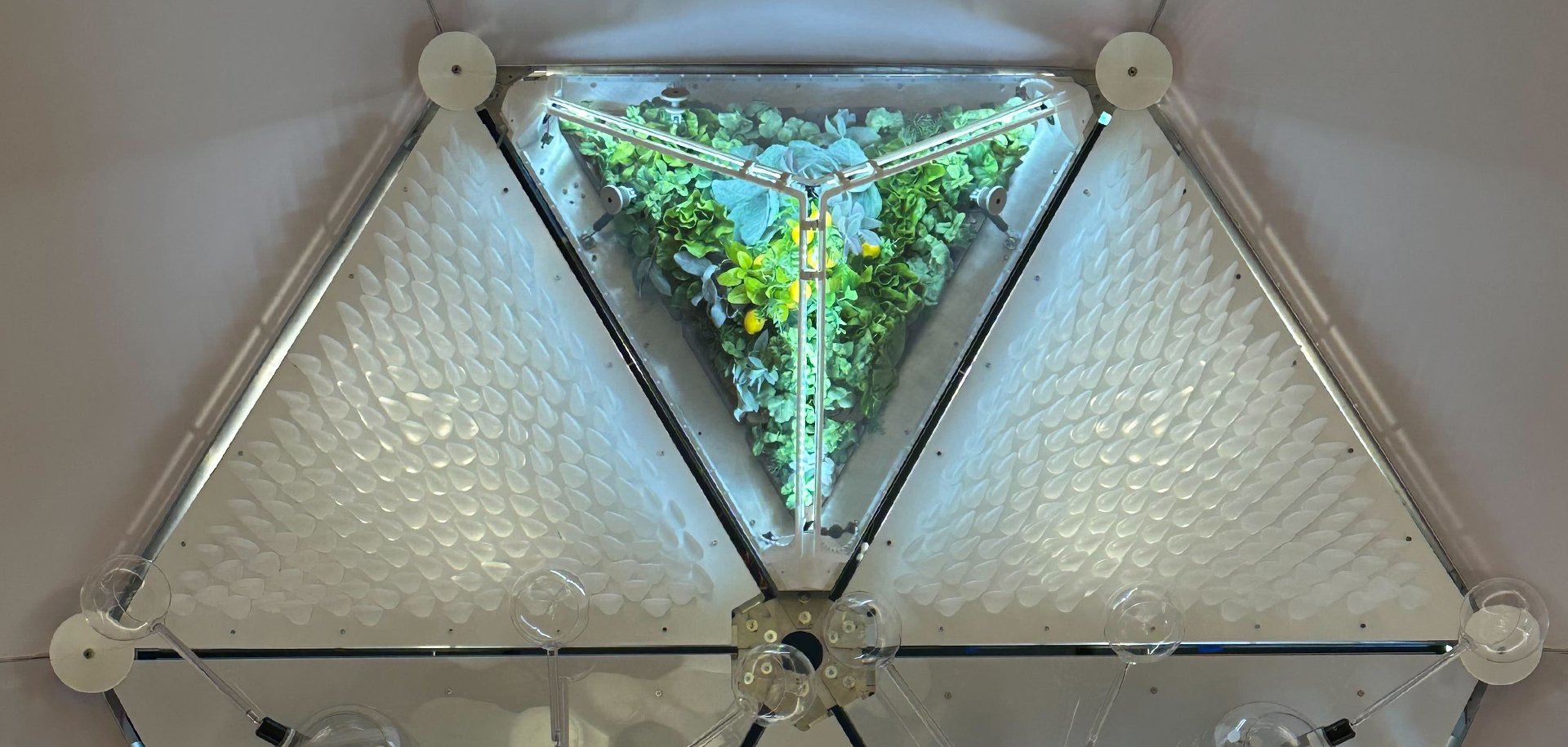 Featured image: Green leaves enclosed inside a glass triangle. - Read full post: Your Home in Space